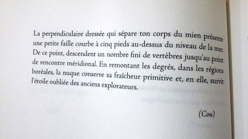 20170321_140237 copia