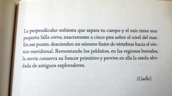 20170321_140707 copia